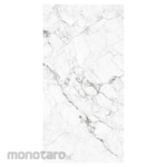 Platinum Keramik REC Tabarca Series Floor Tile 30x60 (Keramik Lantai)