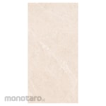 Platinum Keramik REC Teramo Series Floor Tile 30x60 (Keramik Lantai)