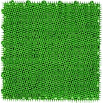 WATANABE Artificial Turf