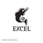 Excel B' Clear roof (Atap Bening 'B')