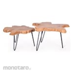 Pineapple Sumatra Coffee Table Set of 2