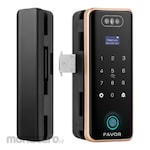 Favor Smart Glass Lock Face