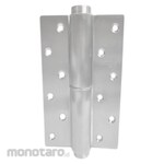 Omge Hinge with Closer