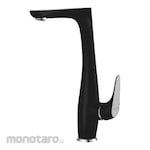 aer Mixer Kitchen Faucet