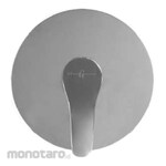Gritania Concealed Shower Mixer Cold