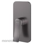 Wasser Concealed Shower Mixer