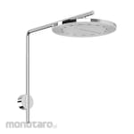 Phoenix Tapware NX Iko Shower Arm & Rose