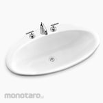 KOHLER Ellipse Countertop Cast Iron