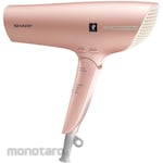 Sharp hair dryer