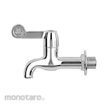 Wasser Lever Handle Wall Tap