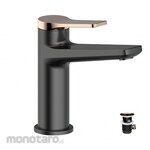 Waterplus Basin Mixer