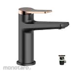 Waterplus Basin Mixer