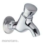 Waterplus Self-Closing Wall Tap