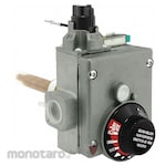 Rheem Water Heater Control (Kontrol Pemanas Air)