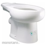 LIBERTY PUMPS Macerating Toilet