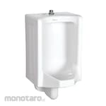 Wasser Wall Hung TI Cleansing Urinal