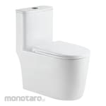 aer Siphonic One Piece Automatic Toilet
