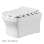 aer Washdown Wall-Hung Toilet