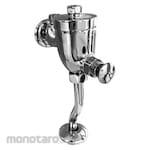 Enchanting Push Valve Urinal