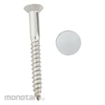 TOTO Chrome Plated Screw & Cap