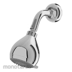 TOTO Fixed Shower Head (2S Massage)