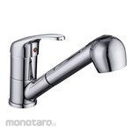Waterplus Kitchen Mixer with Dual Function Pull-Out Spout
