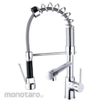 Waterplus Kitchen Mixer with Dual Outlet & Jet Washer (Keran Wastafel Dapur)