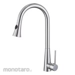 Waterplus Kitchen Mixer with Pull-Out Dual Function Spout