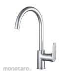 Waterplus Kitchen Mixer