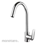 Waterplus Kitchen Mixer