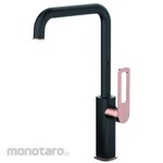 Waterplus Kitchen Mixer