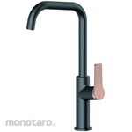 Waterplus Kitchen Mixer