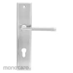 Paloma Lever Plate Handle Set with Lockcase (Gagang Pintu Tuas dengan Kunci)