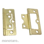Yane Flush Door Hinge Furniture
