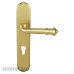 Paloma Entrance Plate Handle