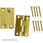 WAKI Brass Hinge