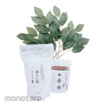 kamidananosato [Sakaki Small Size] Ready To Consecrate Kit