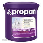 PROPAN Silicate Paint (Cat Silicate)