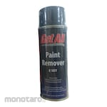 Get All Paint Remover