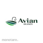 Avian Cat Kayu dan Besi Ekonomis Yoko Matt