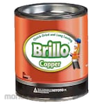 Brillo Metallic Paint (Cat Metalik)