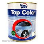 Dana Paint Cat Otomotif TOP NC Warna Khusus