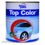 Dana Paint Top Colour