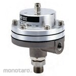 ANEST IWATA Paint Flow Control Valve