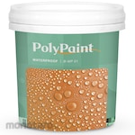 Polypaint Waterproofing Paint (Cat Kedap Air)