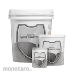 Belmont Paint Protection