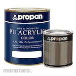 PROPAN Polyurethane Wood Finish