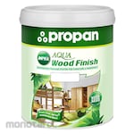 PROPAN Lacquer
