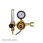 Ramco Regulator CO2+Heater