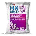 DGW HX MKP Fertilizer (Pupuk HX MKP)
